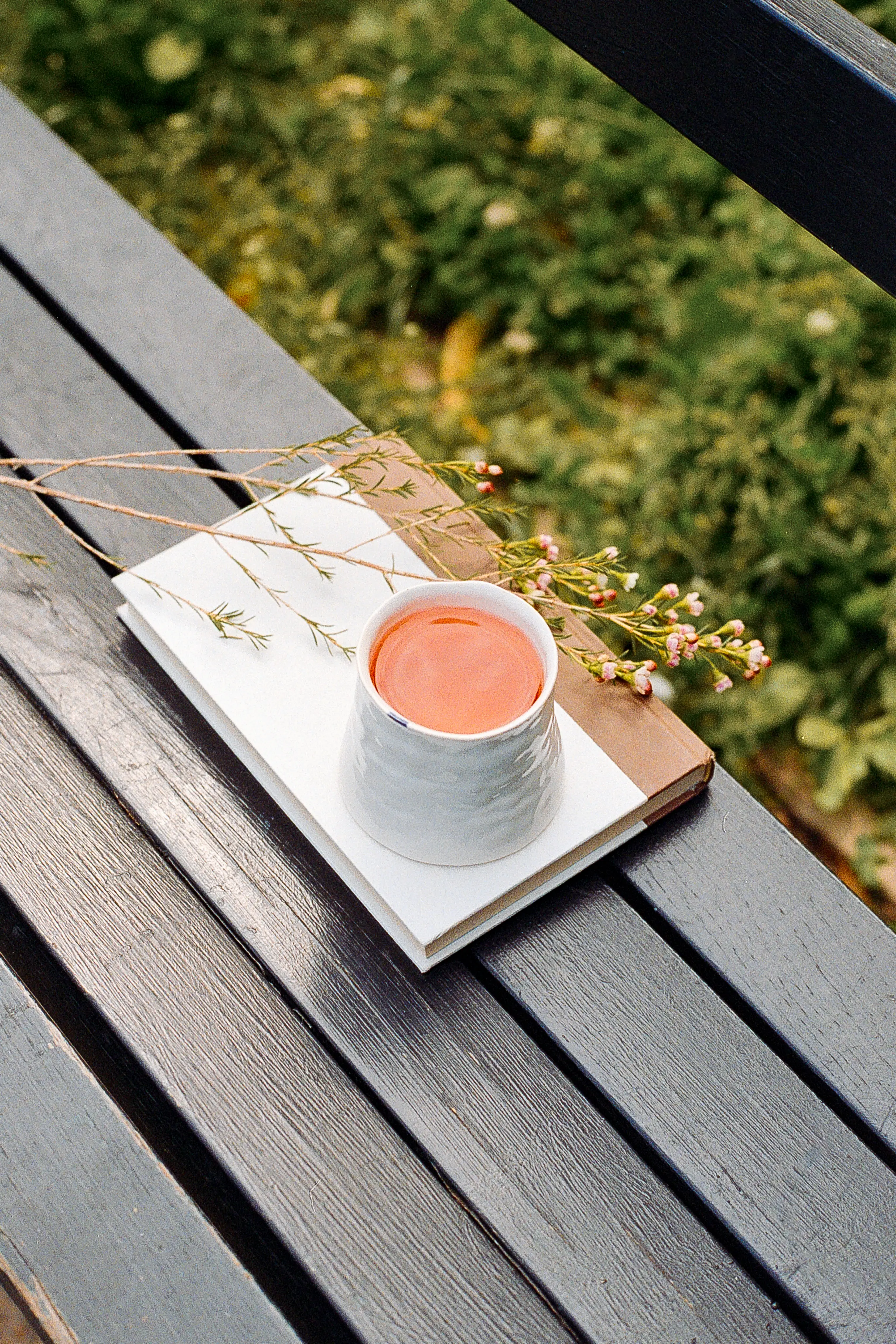 Cup of pink tea and flowers resting on books on an outdoor bench